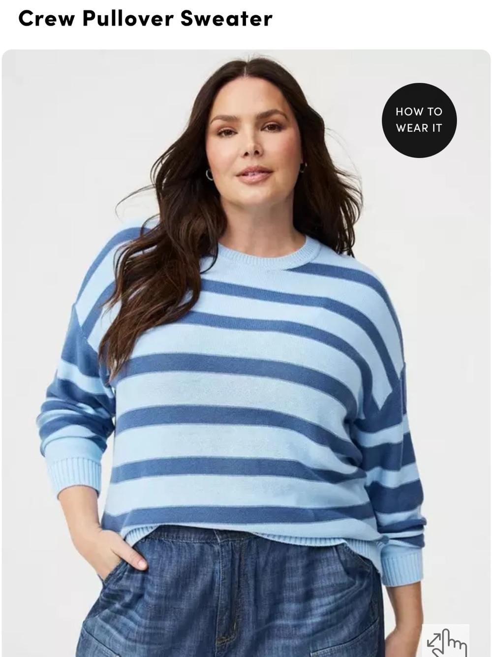 Torrid Crewneck Sweater